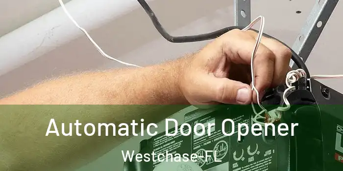 Automatic Door Opener Westchase-FL