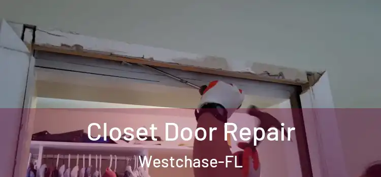 Closet Door Repair Westchase-FL