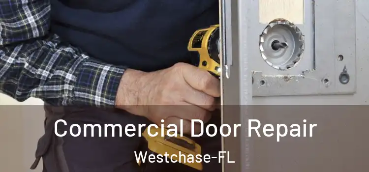 Commercial Door Repair Westchase-FL