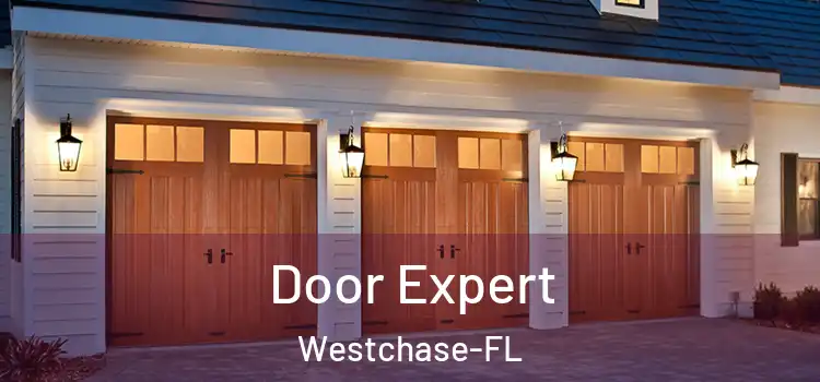  Door Expert Westchase-FL