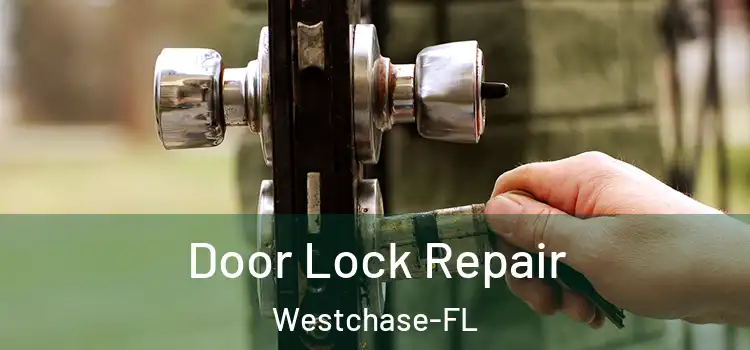  Door Lock Repair Westchase-FL