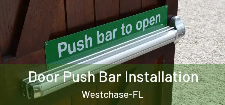  Door Push Bar Installation Westchase-FL