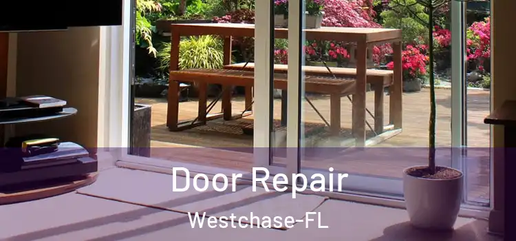  Door Repair Westchase-FL