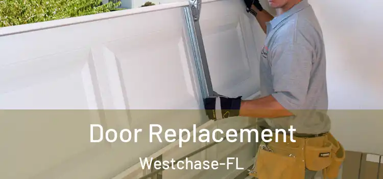  Door Replacement Westchase-FL