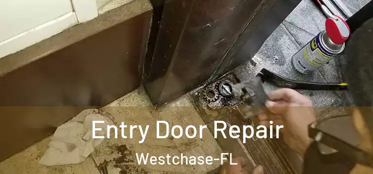  Entry Door Repair Westchase-FL