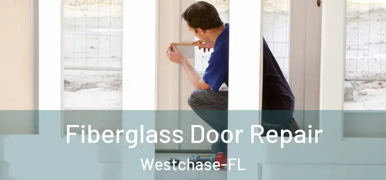 Fiberglass Door Repair Westchase-FL