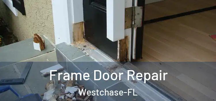  Frame Door Repair Westchase-FL
