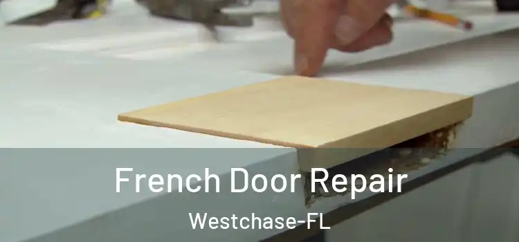 French Door Repair Westchase-FL