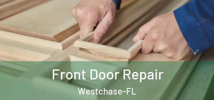 Front Door Repair Westchase-FL