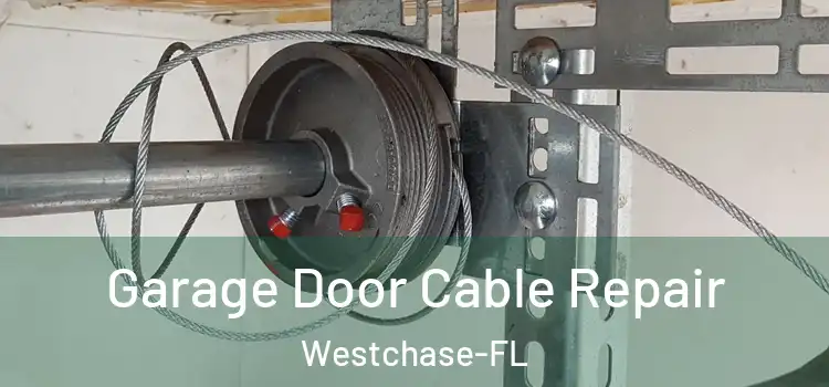 Garage Door Cable Repair Westchase-FL