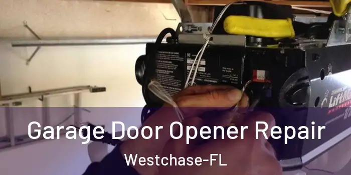 Garage Door Opener Repair Westchase-FL