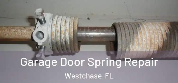  Garage Door Spring Repair Westchase-FL