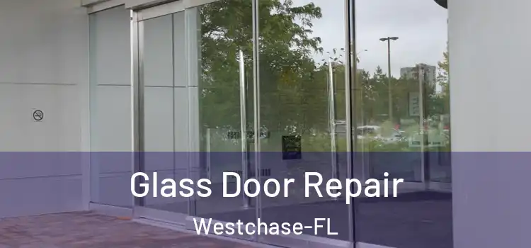 Glass Door Repair Westchase-FL