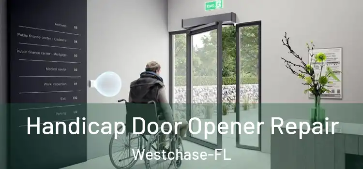  Handicap Door Opener Repair Westchase-FL