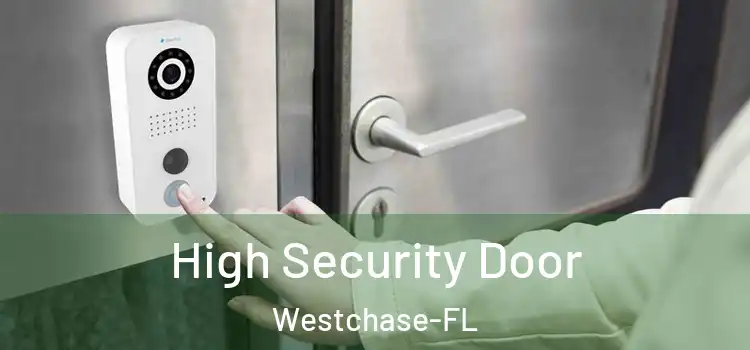  High Security Door Westchase-FL