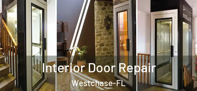 Interior Door Repair Westchase-FL