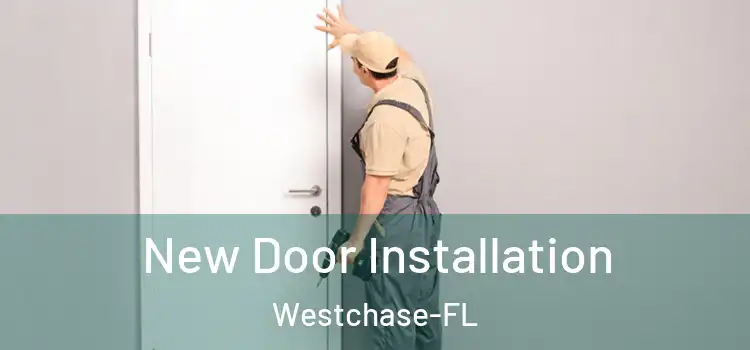  New Door Installation Westchase-FL