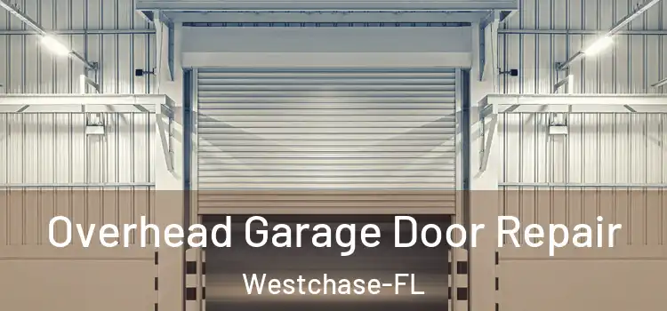 Overhead Garage Door Repair Westchase-FL