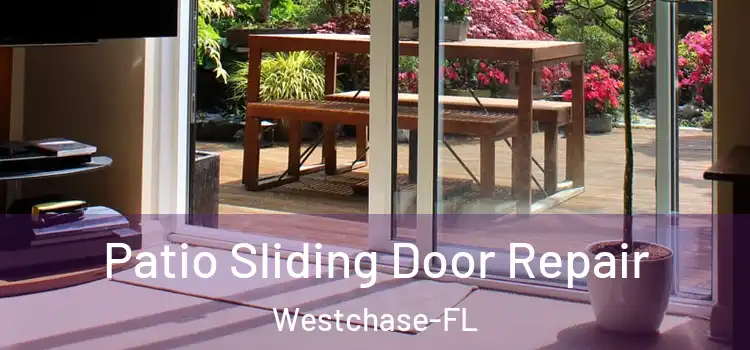  Patio Sliding Door Repair Westchase-FL