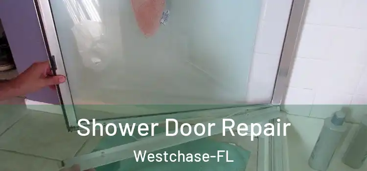 Shower Door Repair Westchase-FL