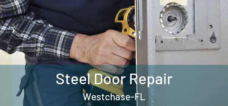  Steel Door Repair Westchase-FL