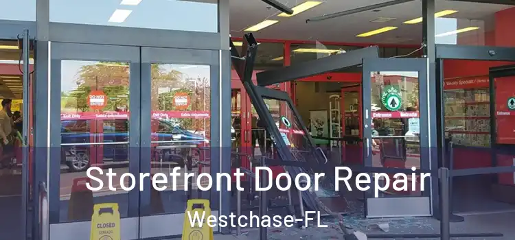  Storefront Door Repair Westchase-FL